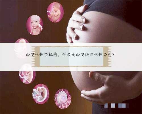 西安代怀孕机构，什么是西安供卵代怀公司？